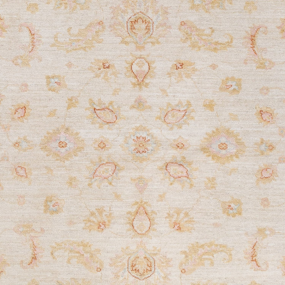 Ziegler Rug - 245 x 173 cm - cream