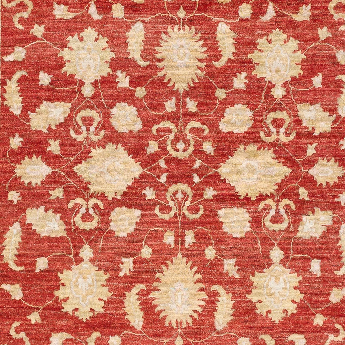 Ziegler Rug - 241 x 171 cm - red