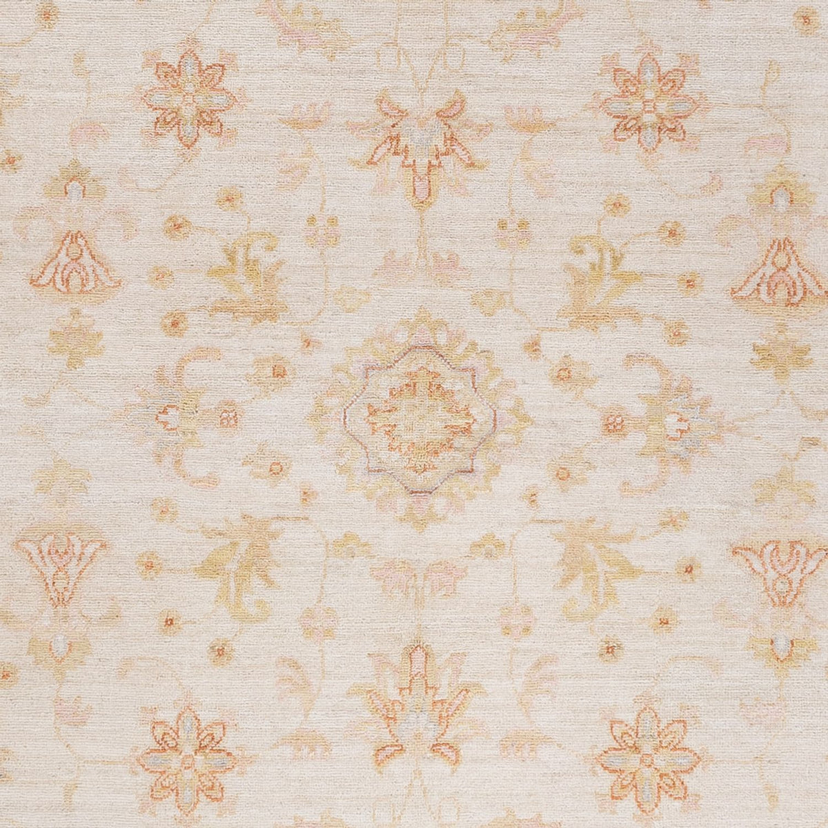 Ziegler Rug - 241 x 175 cm - cream