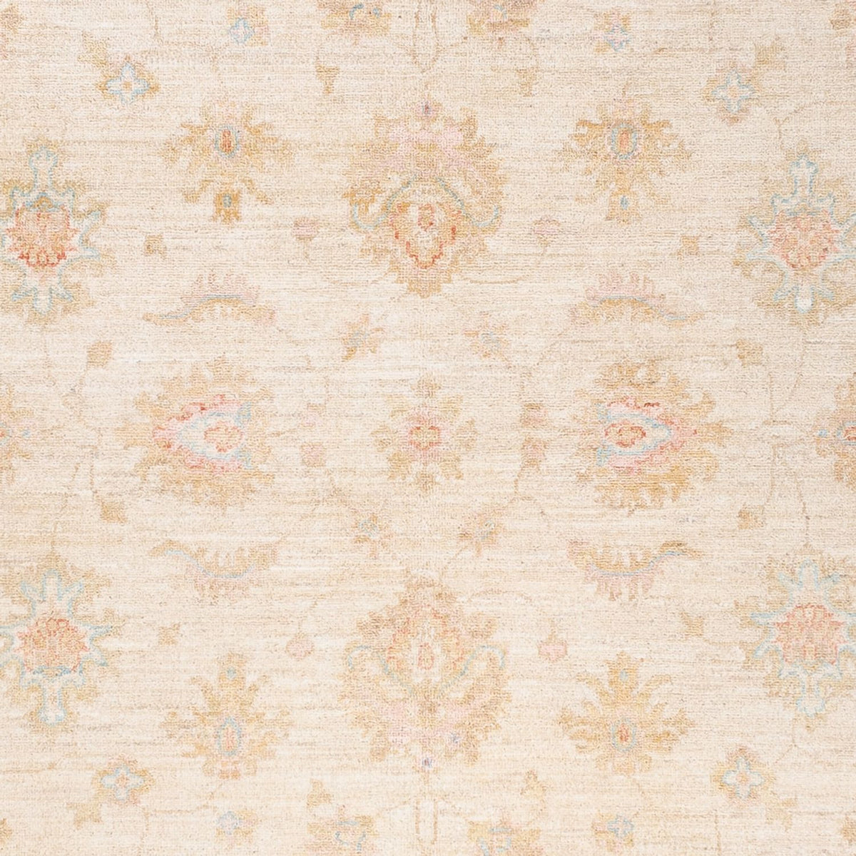 Ziegler Rug - 236 x 178 cm - beige