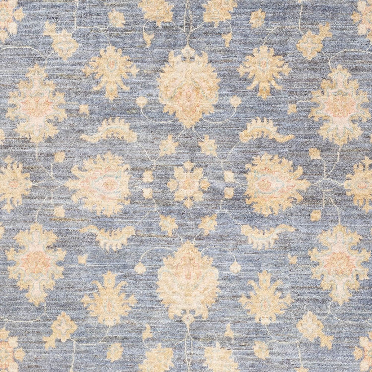 Ziegler Rug - 248 x 170 cm - sea blue