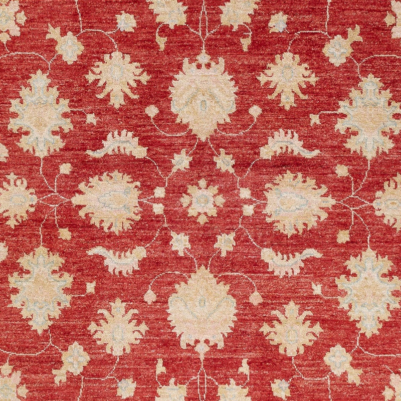 Ziegler Rug - 239 x 168 cm - red