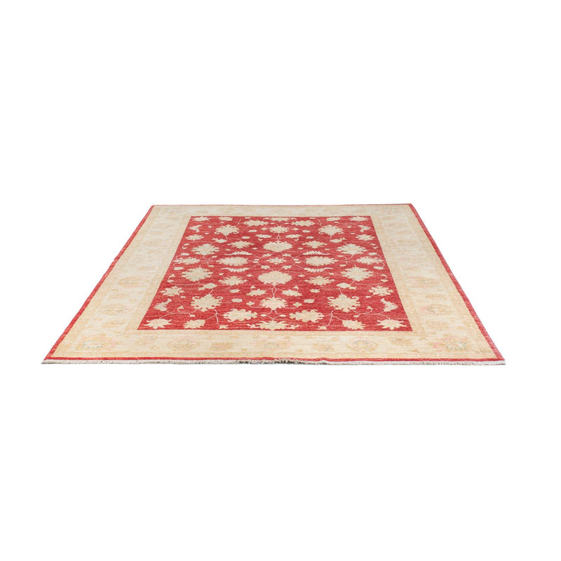Ziegler Rug - 239 x 168 cm - red