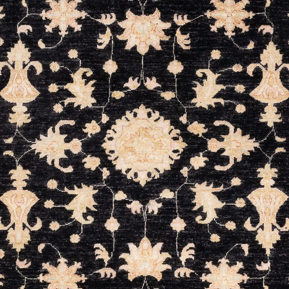 Ziegler Rug - 243 x 175 cm - black