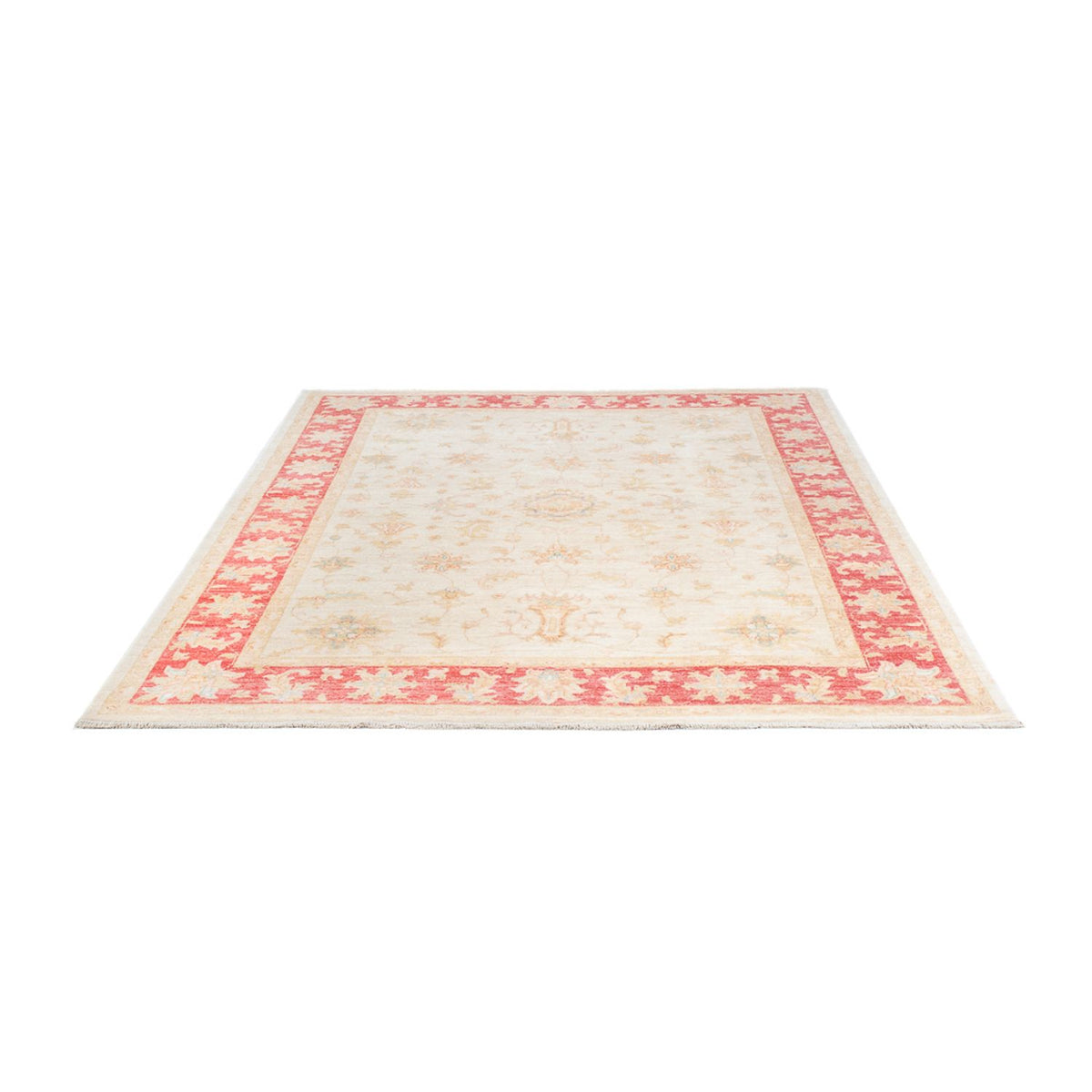 Ziegler Rug - 243 x 170 cm - beige