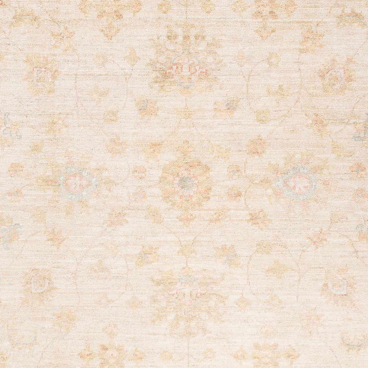 Ziegler Rug - 238 x 174 cm - beige
