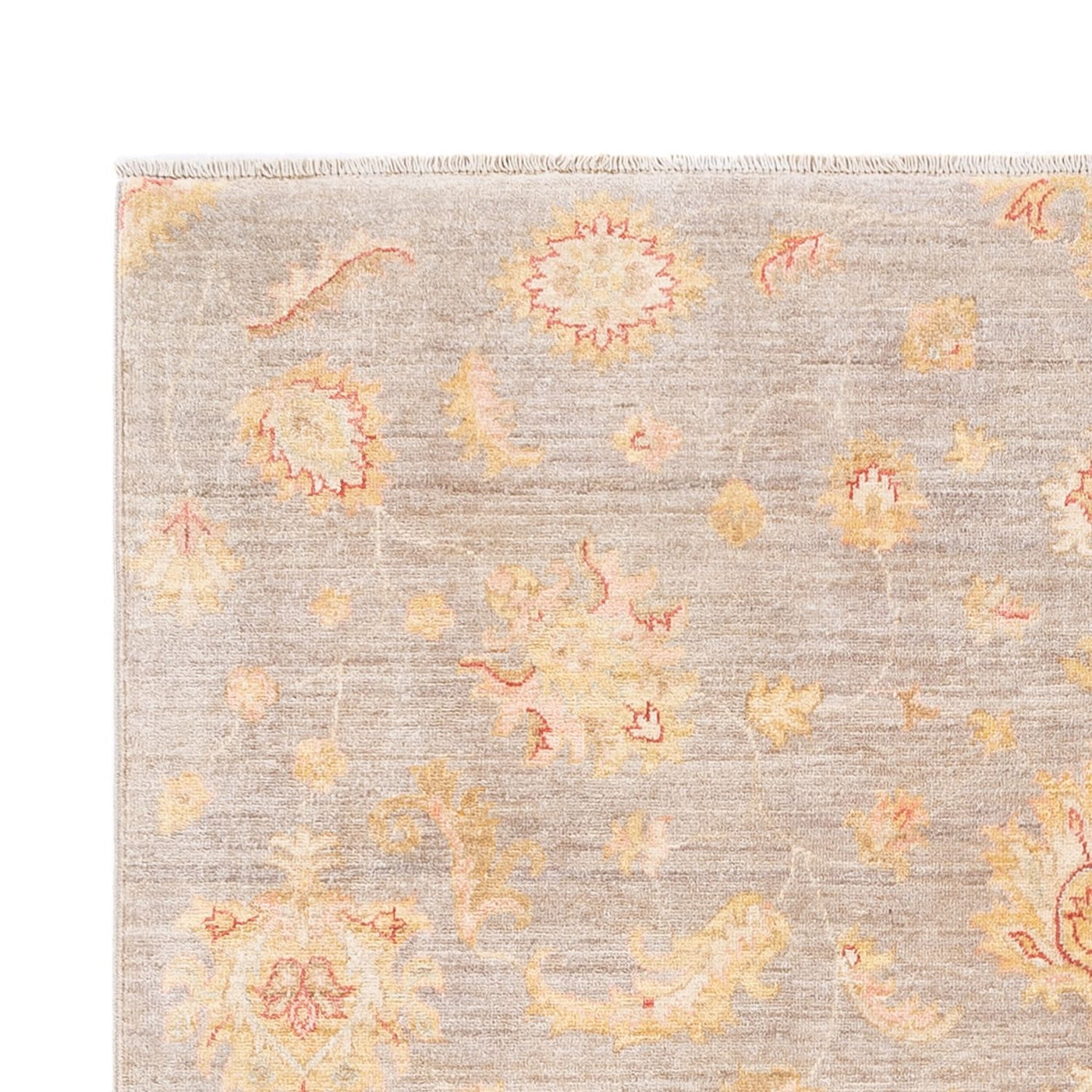 Ariana Rug 241x169cm - Oriental Rug