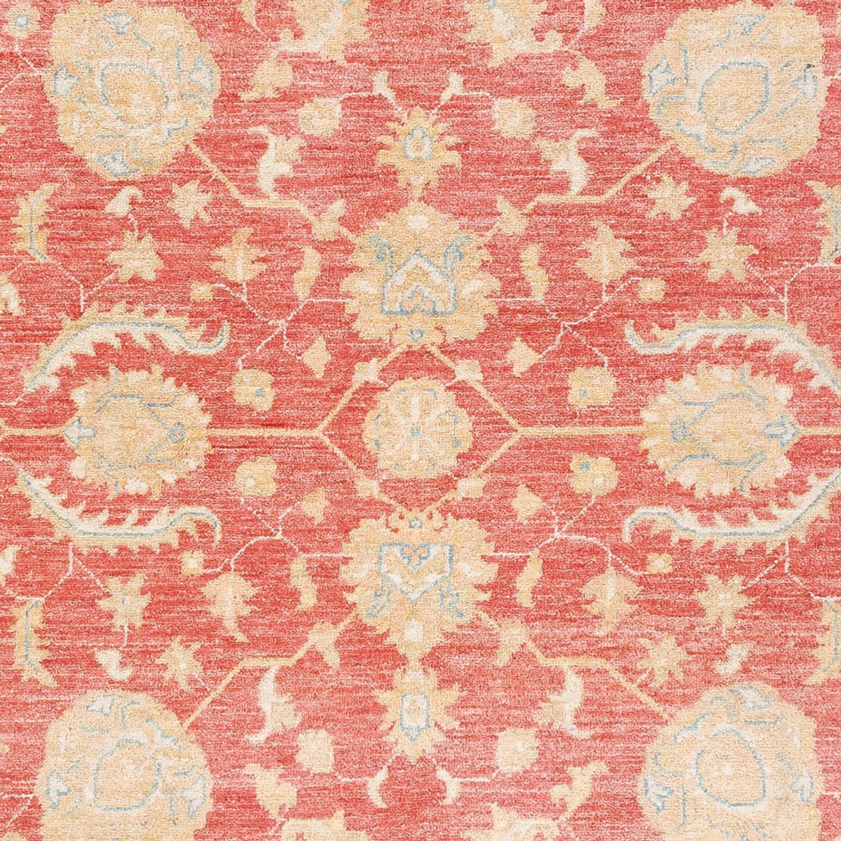 Ziegler Rug - 241 x 173 cm - red