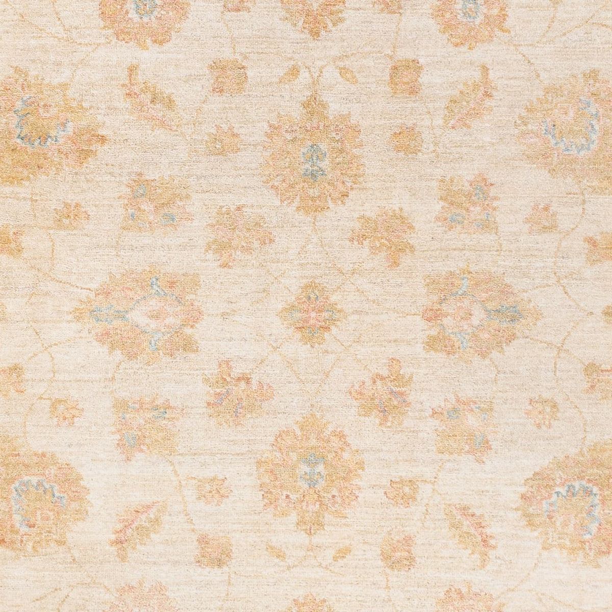 Ziegler Rug - 244 x 169 cm - beige