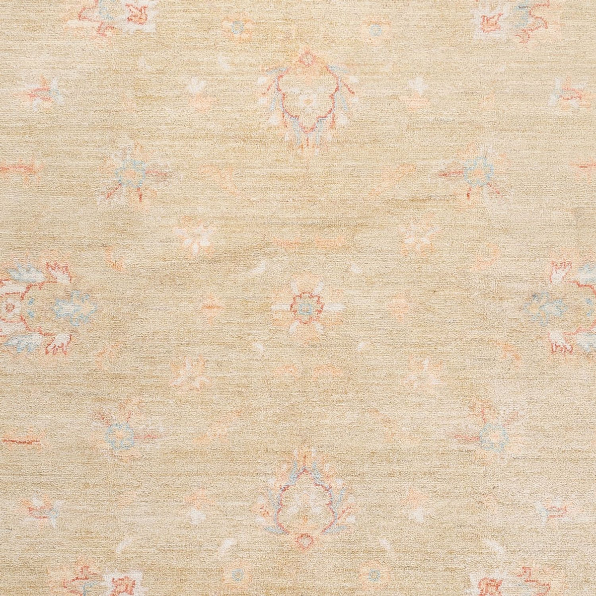 Ziegler Rug - Ariana - 243 x 172 cm - beige