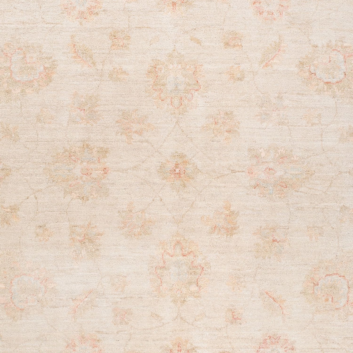 Ziegler Rug - 242 x 180 cm - beige