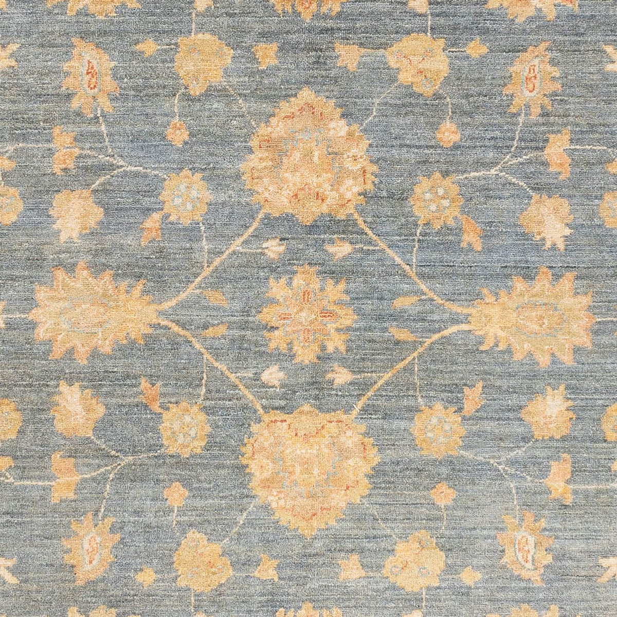 Ziegler Rug - Ariana - 239 x 174 cm - sea blue