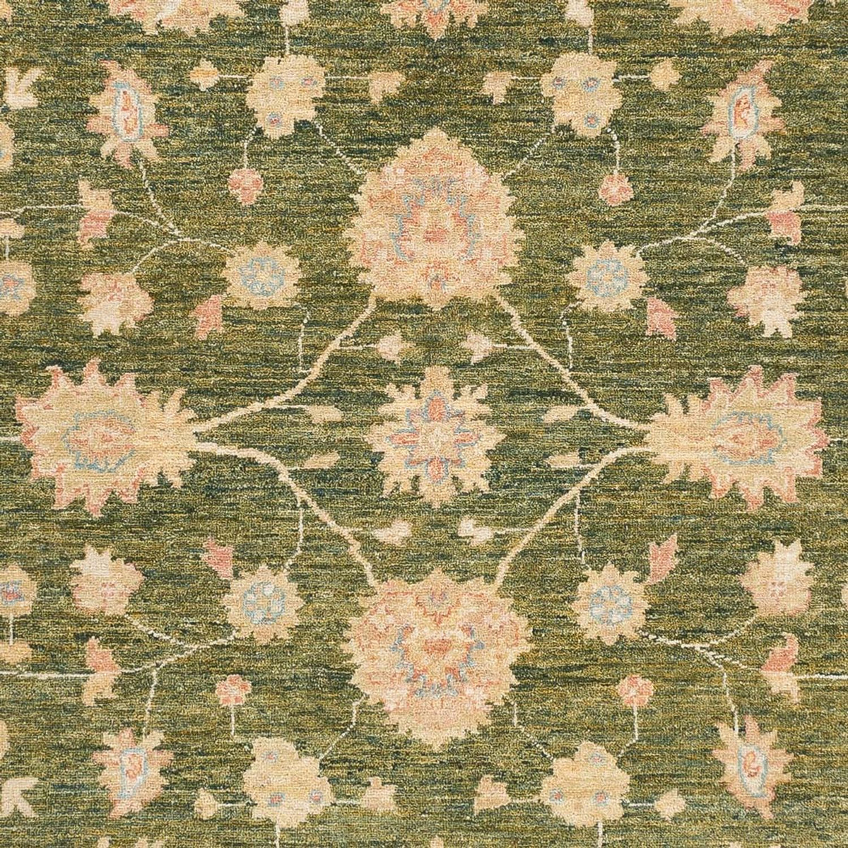 Ziegler Rug - Ariana - 238 x 177 cm - olive green