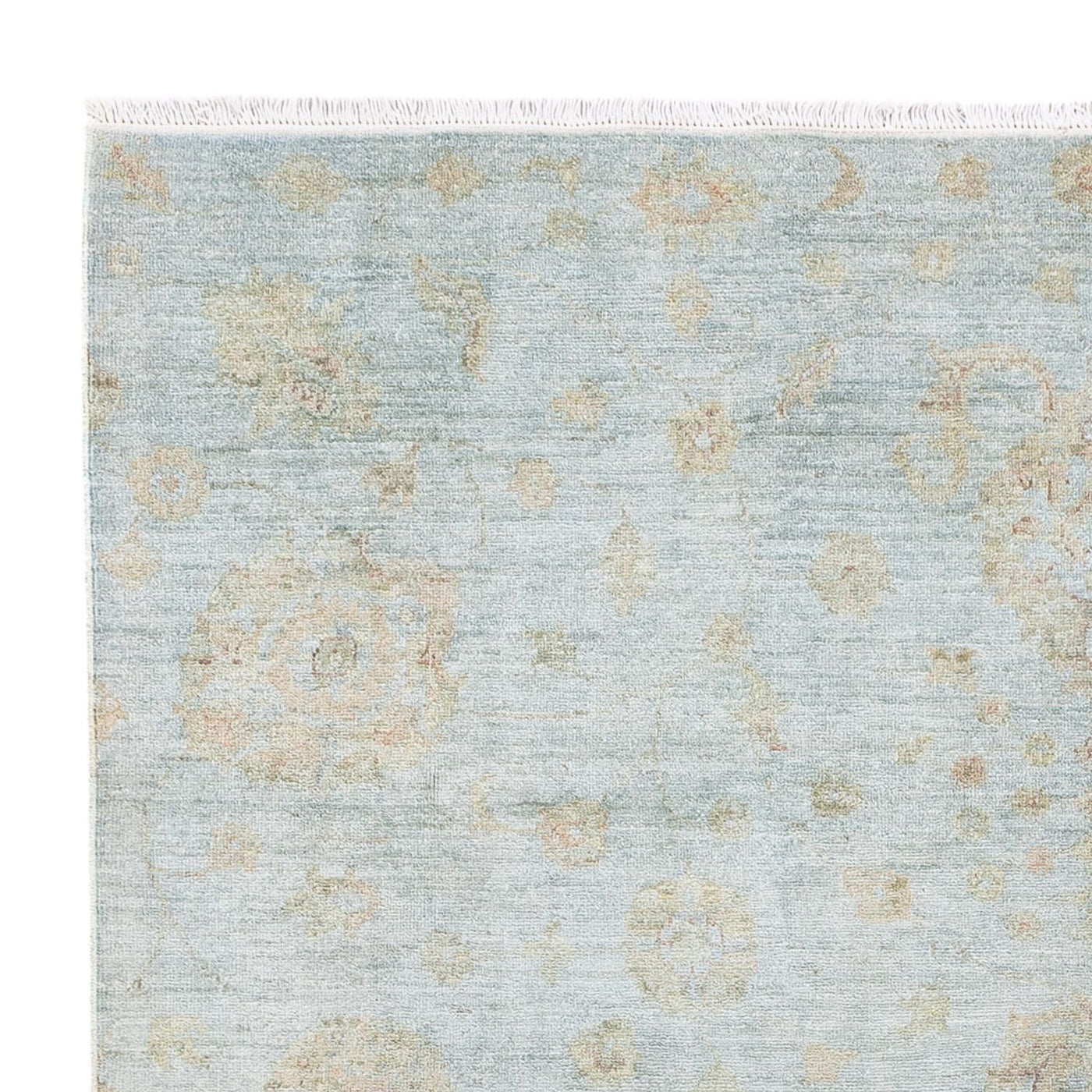 Ariana Rug 240x176cm - Oriental Rug