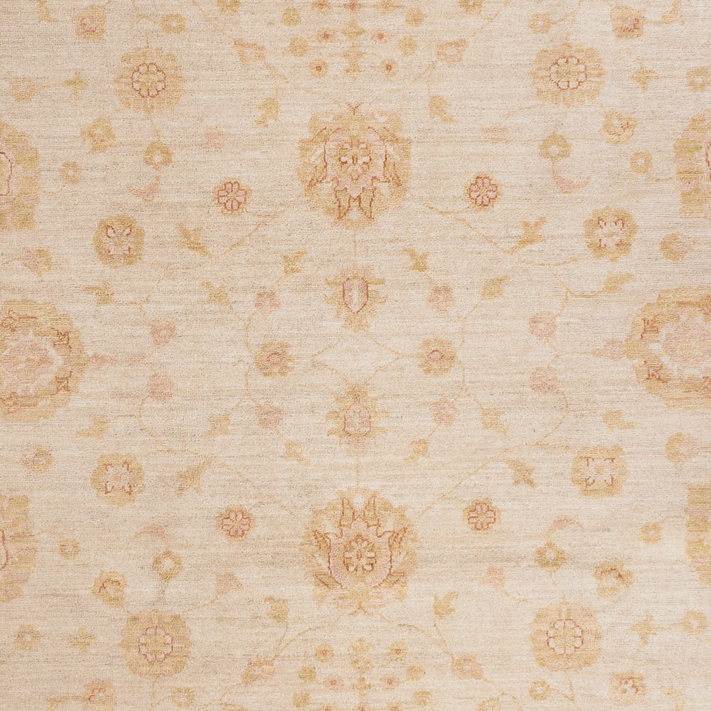 Ziegler Rug - 303 x 254 cm - beige
