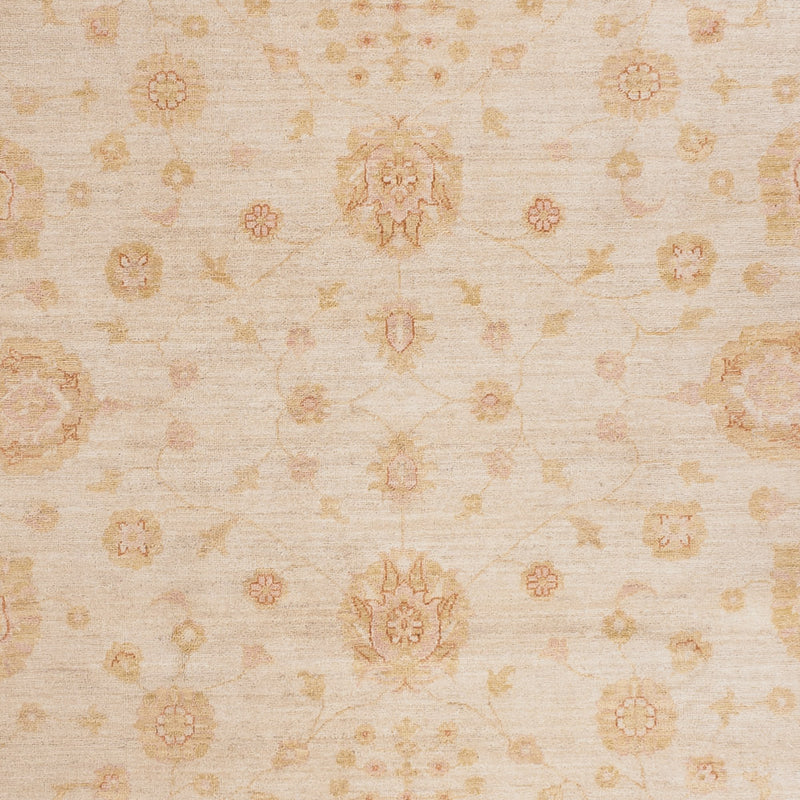 Ziegler Rug - 303 x 254 cm - beige