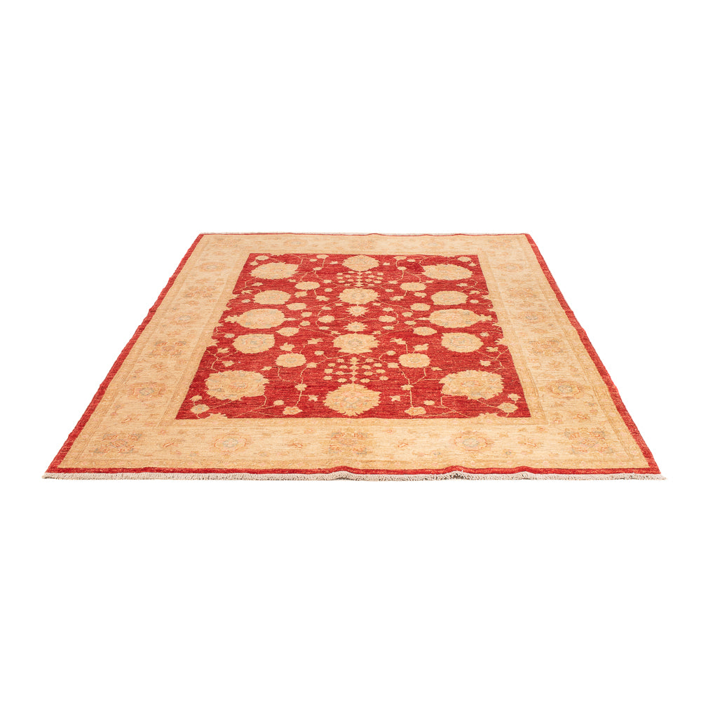 Ziegler Rug - 210 x 152 cm - red