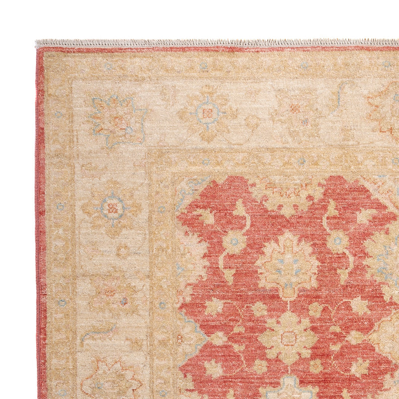 Ziegler Rug - 201 x 153 cm - light red