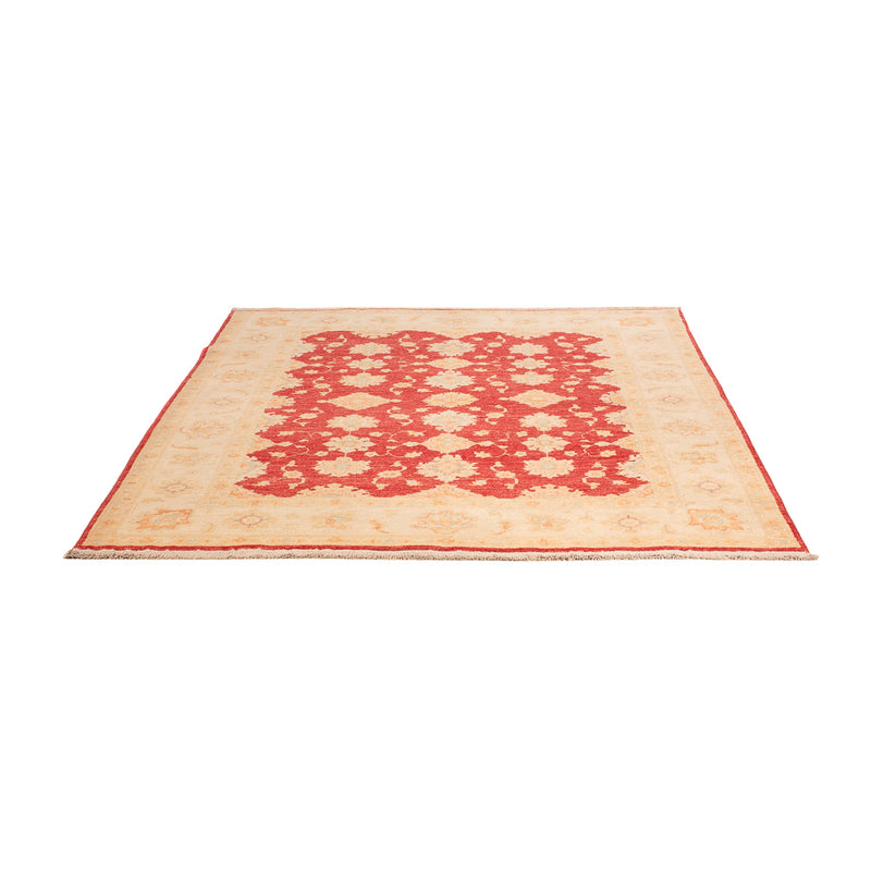 Ziegler Rug - 199 x 158 cm - red