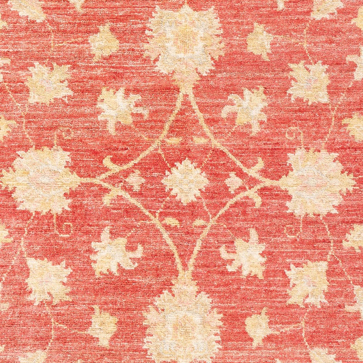Ziegler Rug - 176 x 116 cm - red