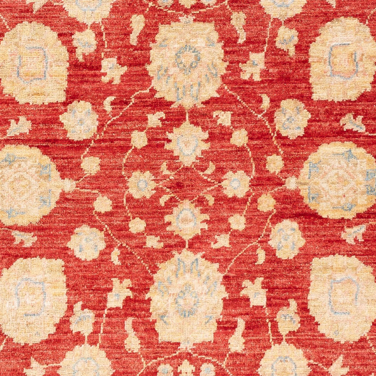 Ziegler Rug - 181 x 123 cm - red