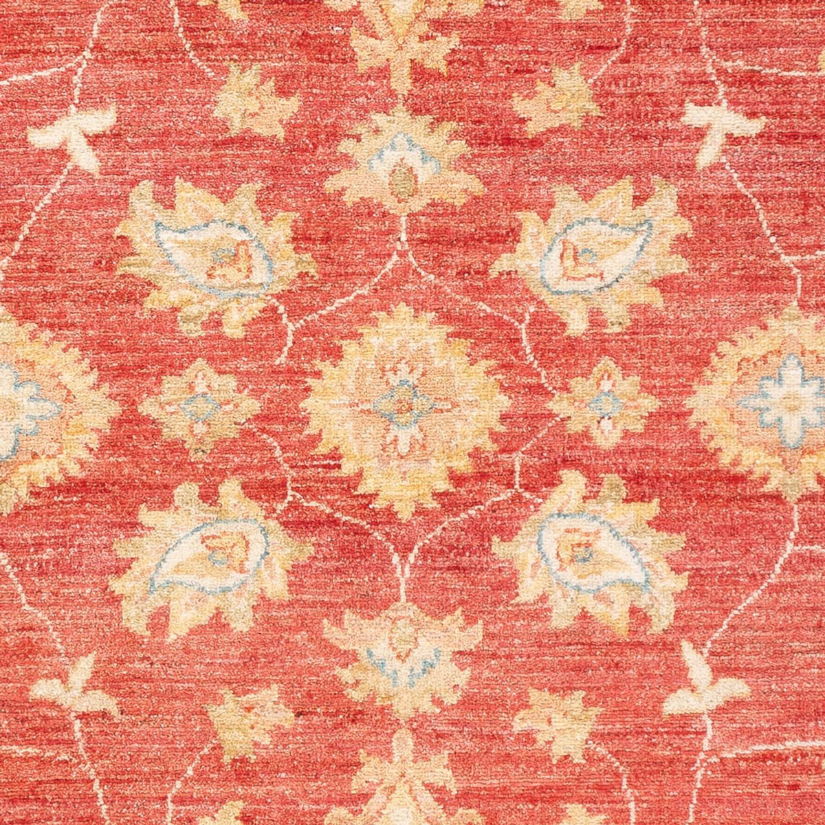 Ziegler Rug - 180 x 127 cm - red