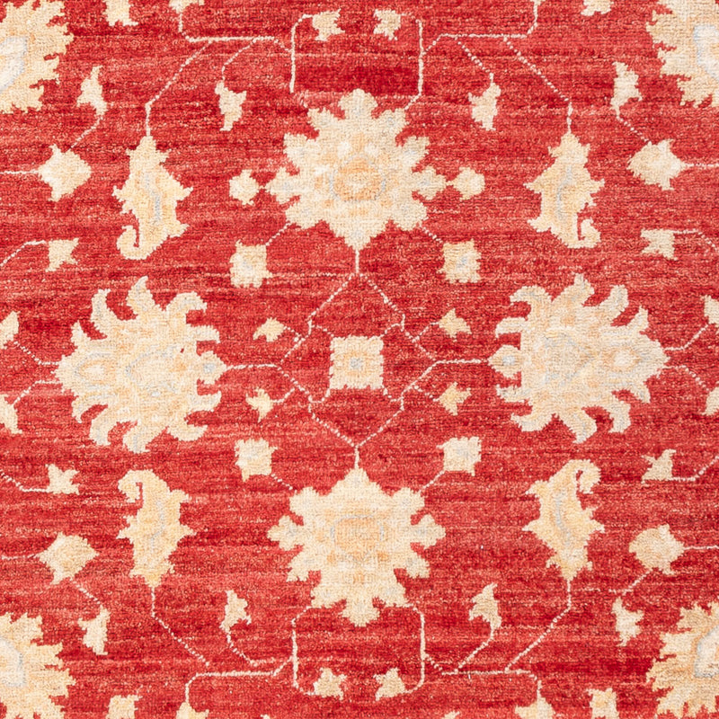 Ziegler Rug - 176 x 124 cm - red