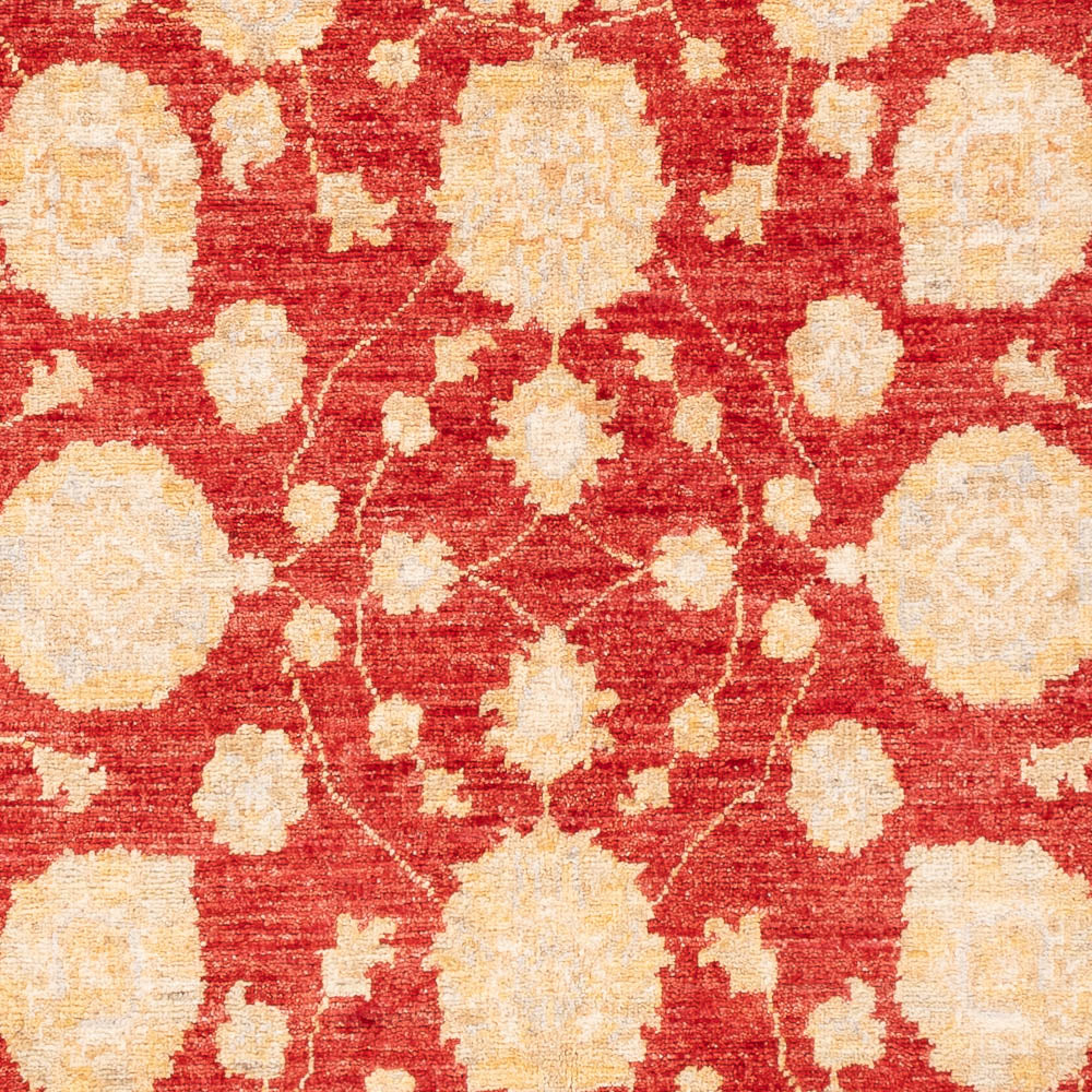 Ziegler Rug - 181 x 125 cm - red