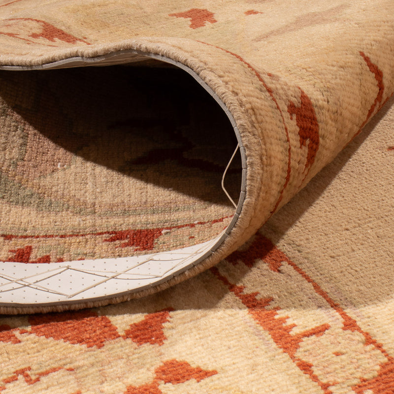 Ziegler Rug - 304 x 213 cm - beige