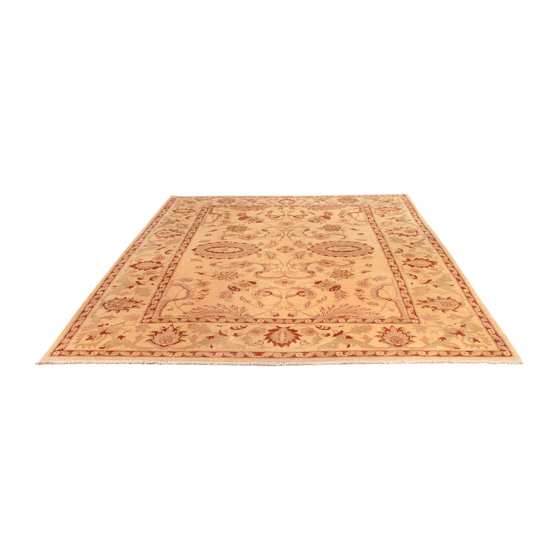 Ziegler Rug - 304 x 213 cm - beige