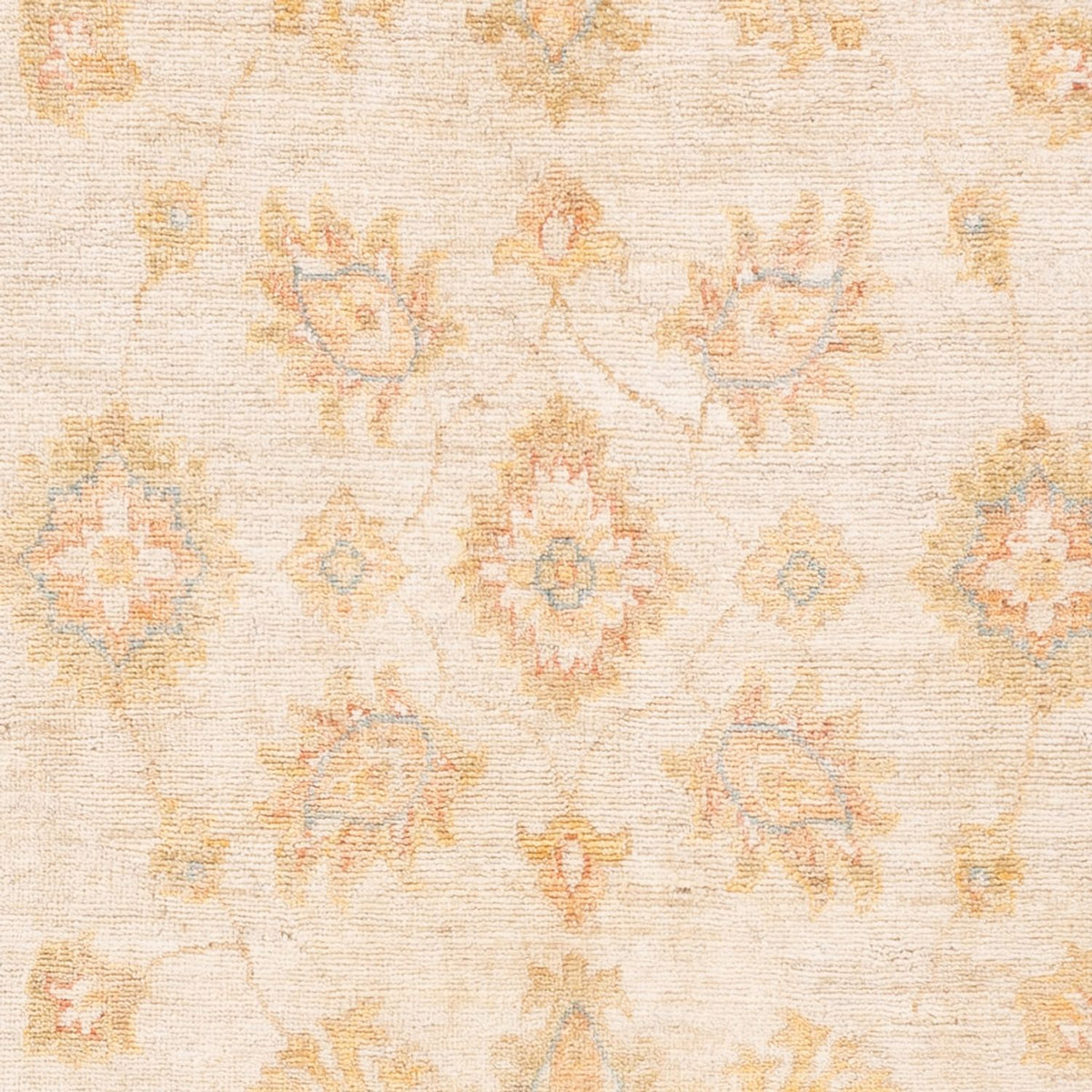 Ziegler Rug - 166 x 100 cm - natural white
