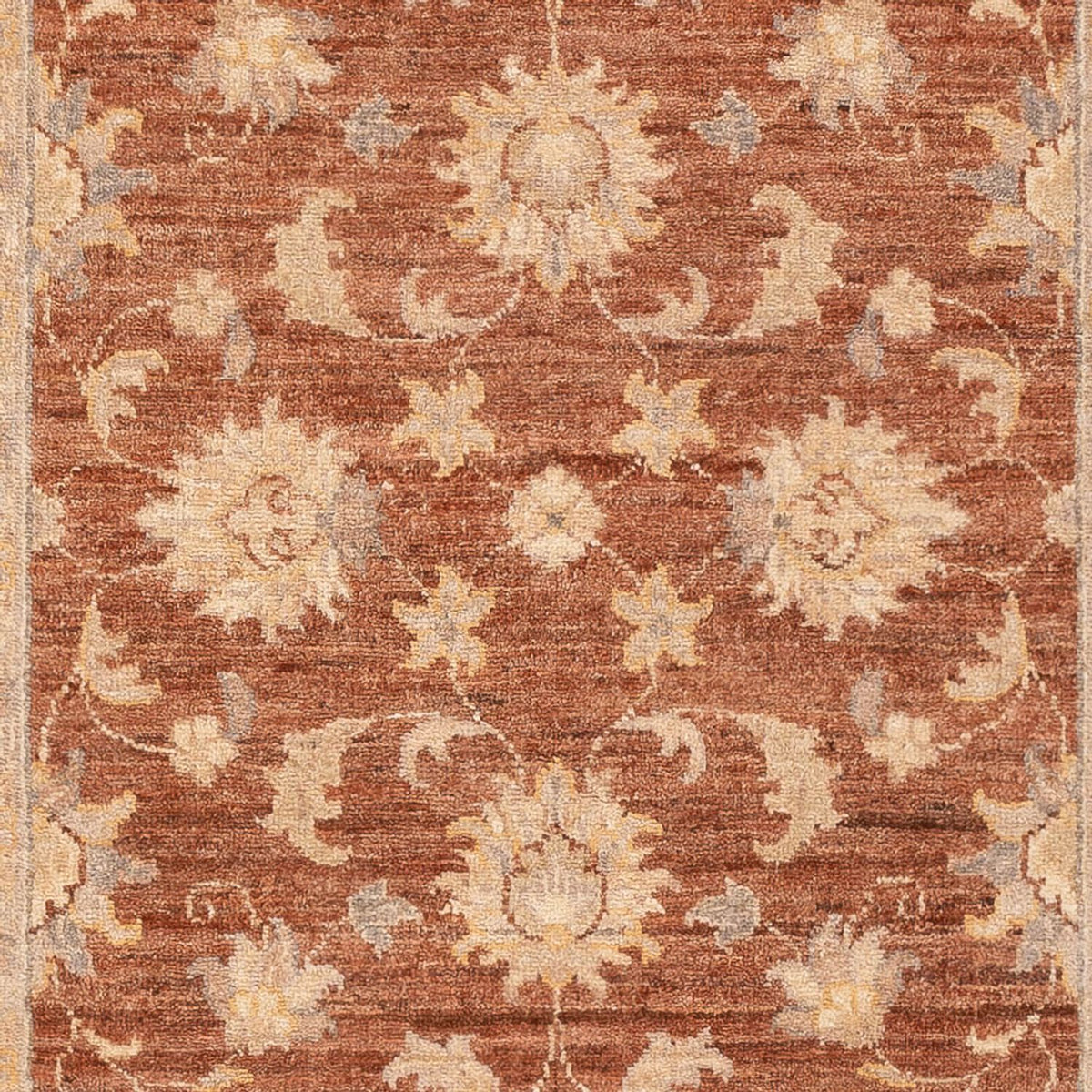 Ziegler Rug - 148 x 103 cm - light brown