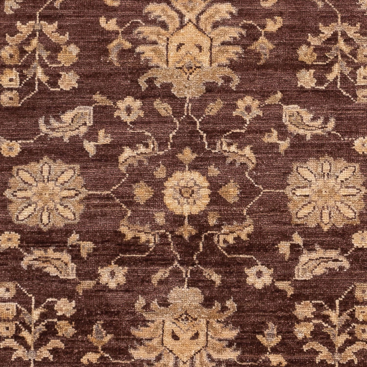 Ziegler Rug - 136 x 99 cm - brown