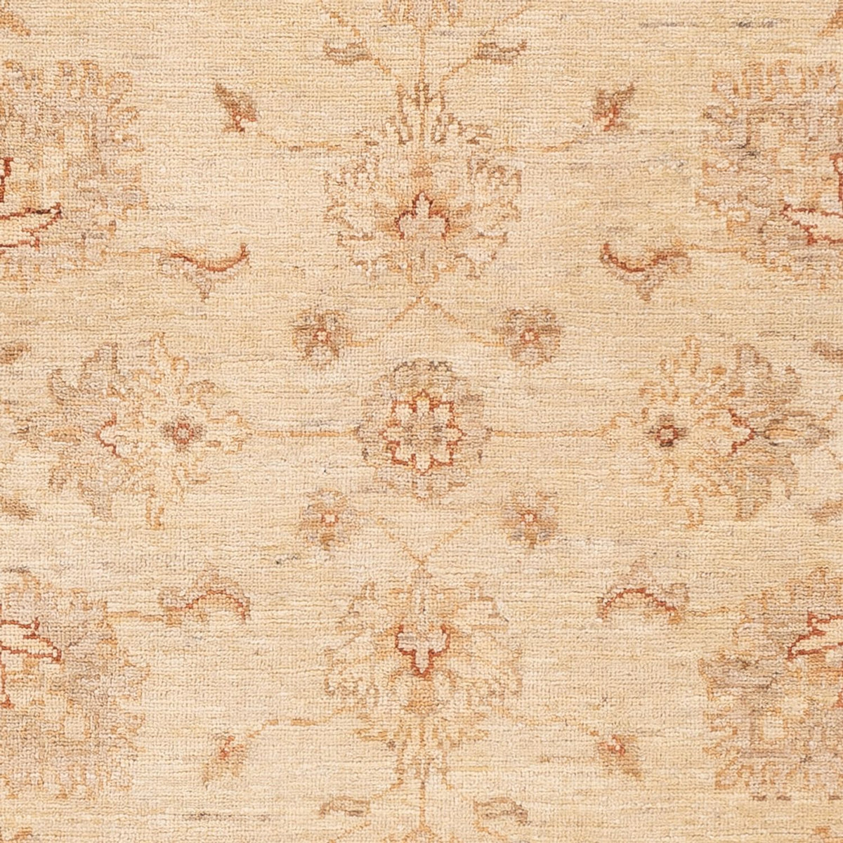 Ziegler Rug - 152 x 100 cm - light beige