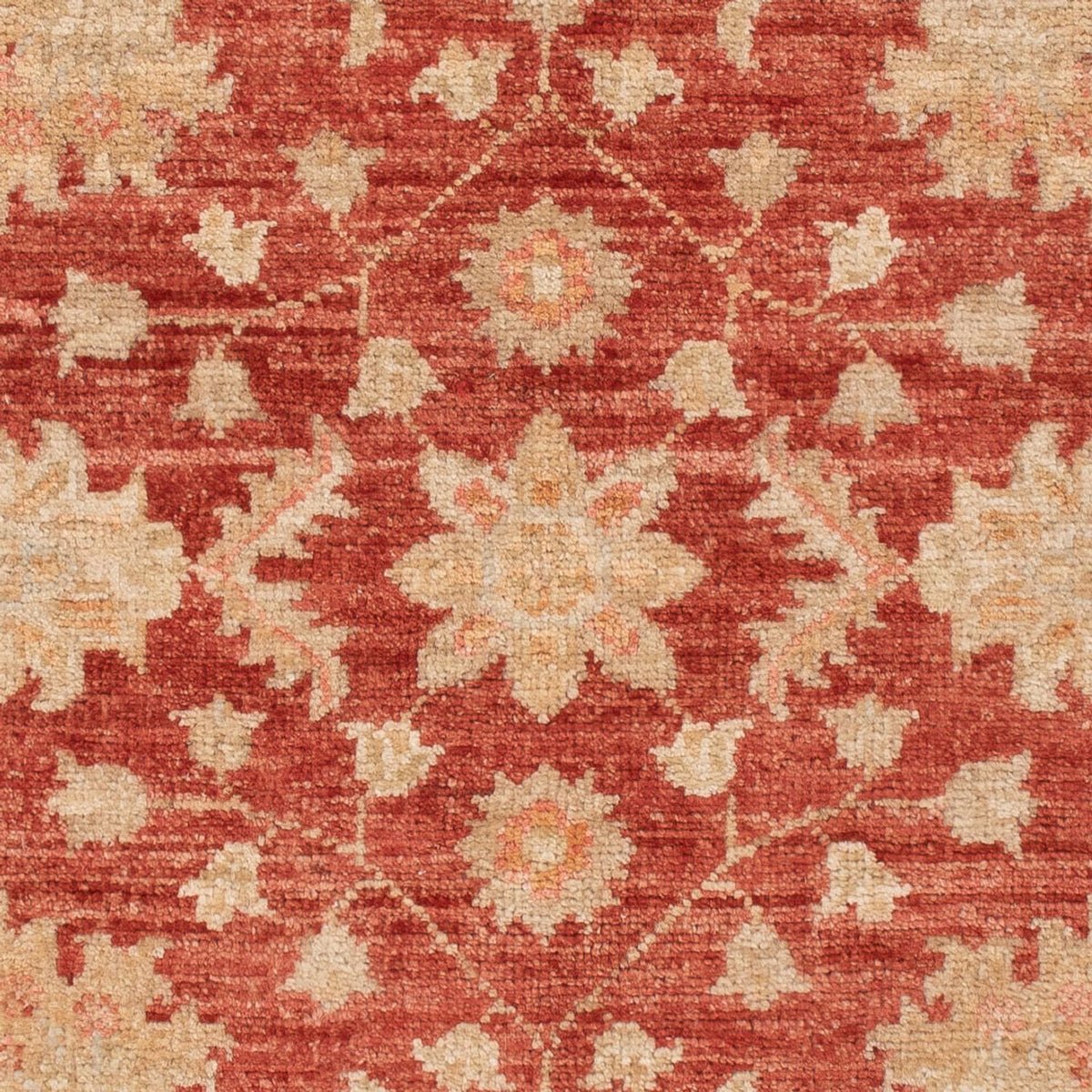 Ziegler Rug - 125 x 80 cm - dark red