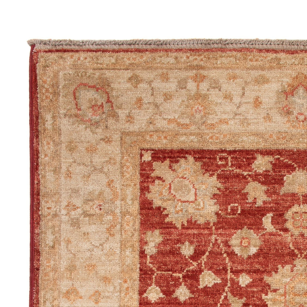 Ziegler Rug 80x125cm - Oriental Rug