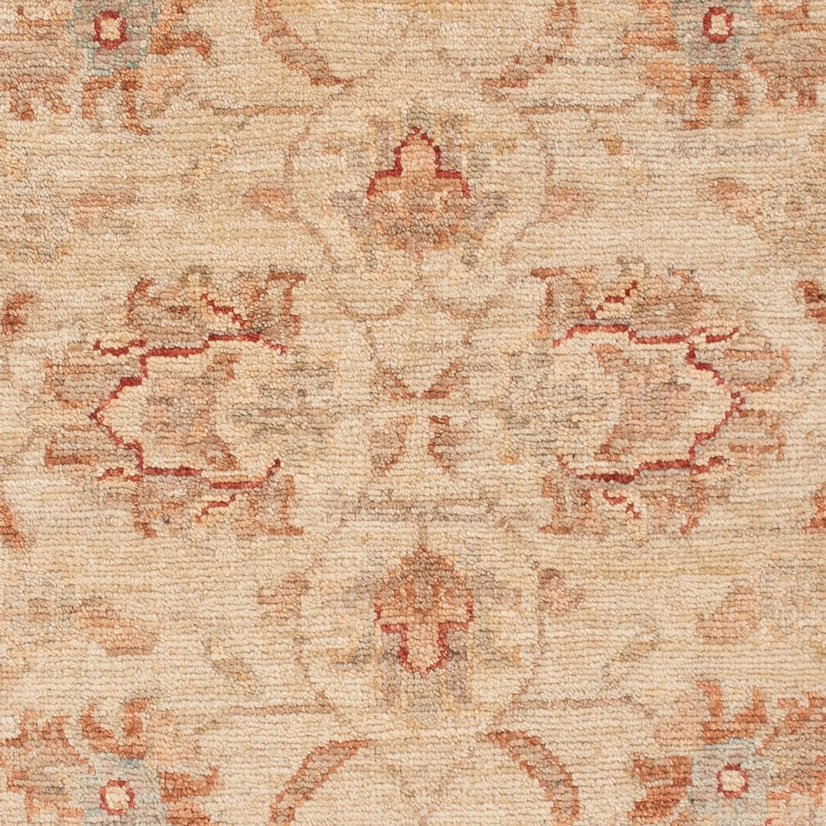 Ziegler Rug - 126 x 78 cm - beige