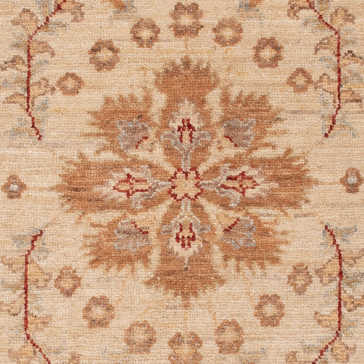 Ziegler Rug - 144 x 70 cm - beige