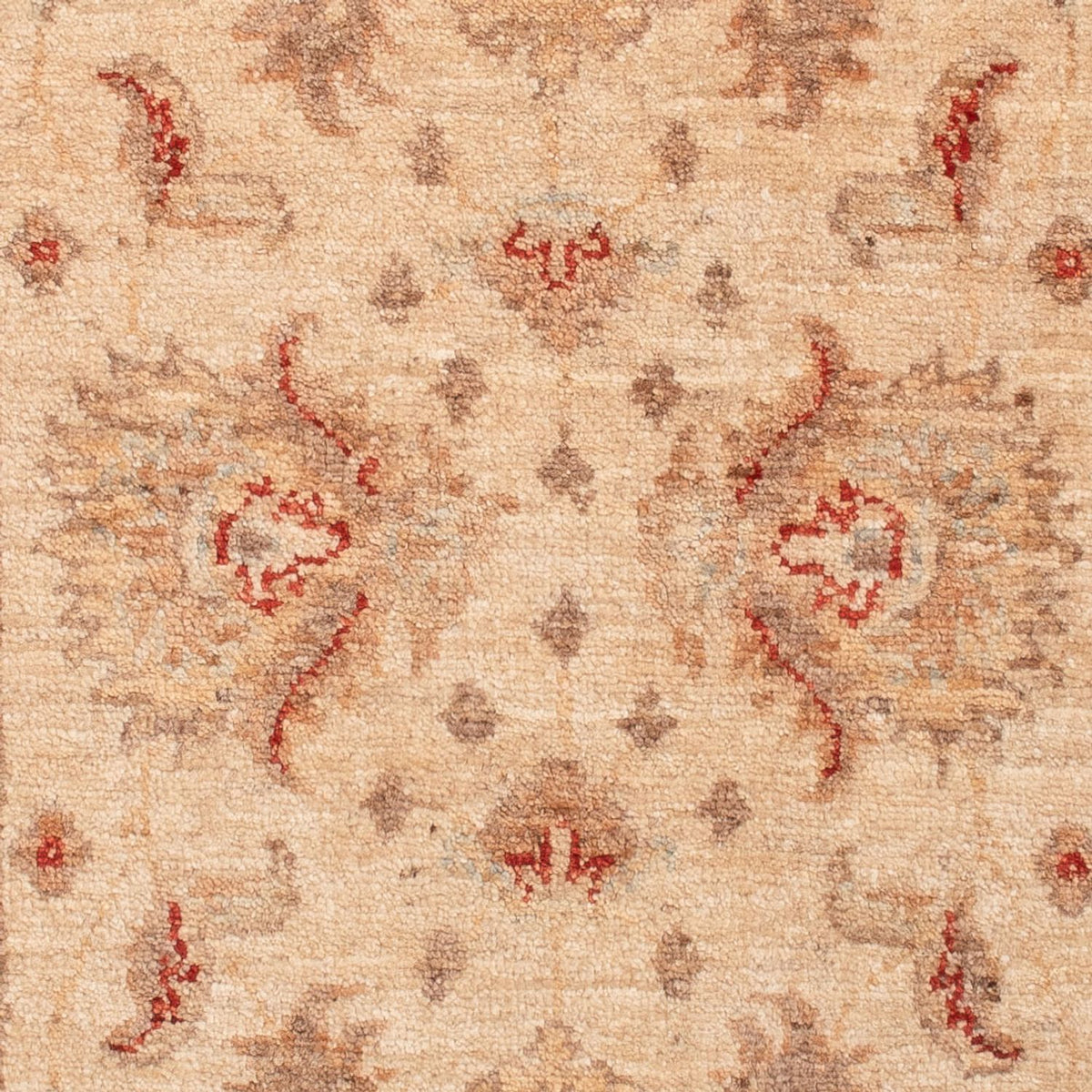 Ziegler Rug - 149 x 67 cm - beige