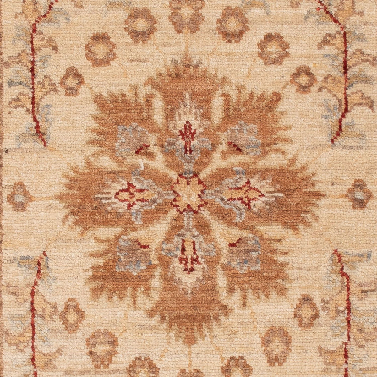 Ziegler Rug - 145 x 65 cm - beige