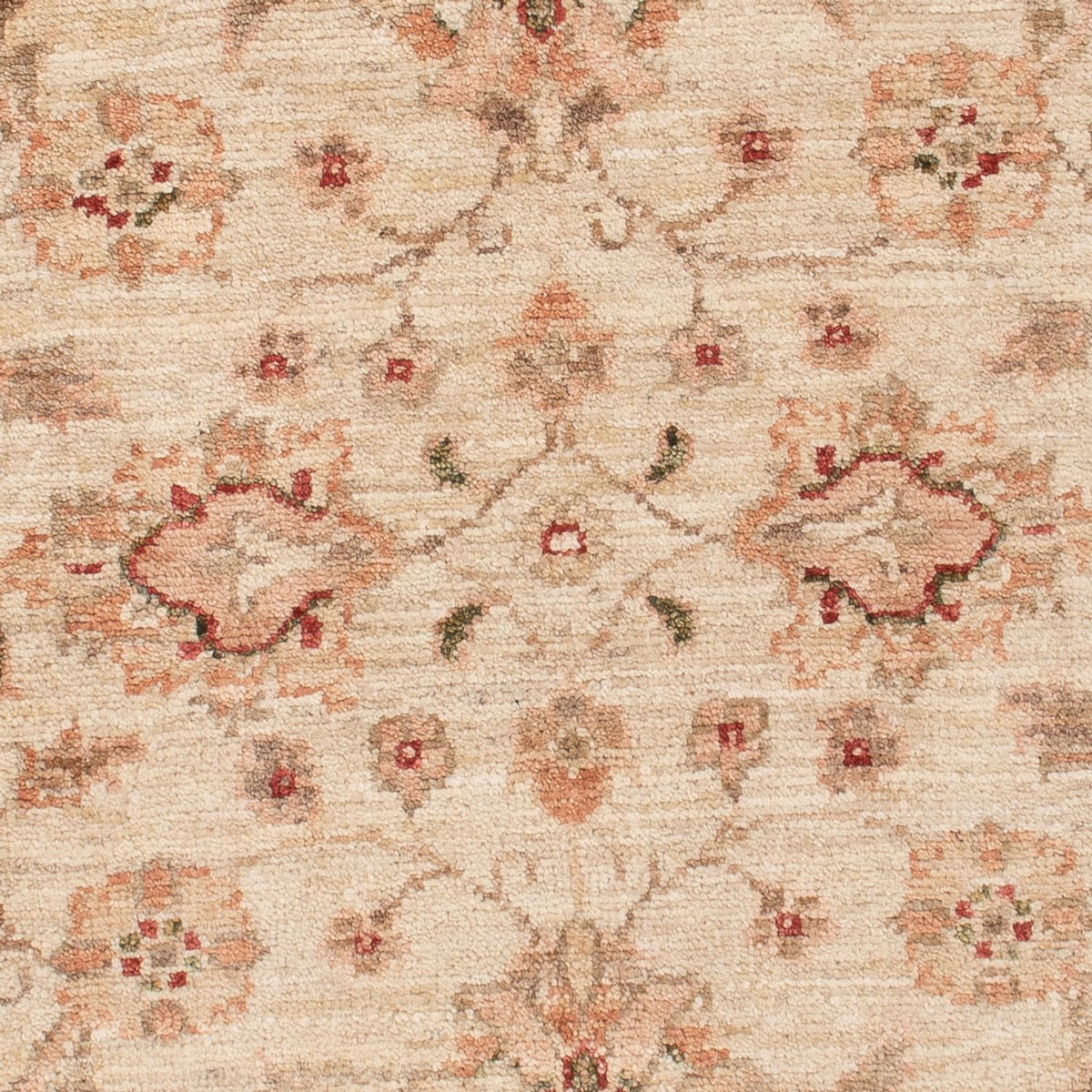 Ziegler Rug - 124 x 84 cm - beige