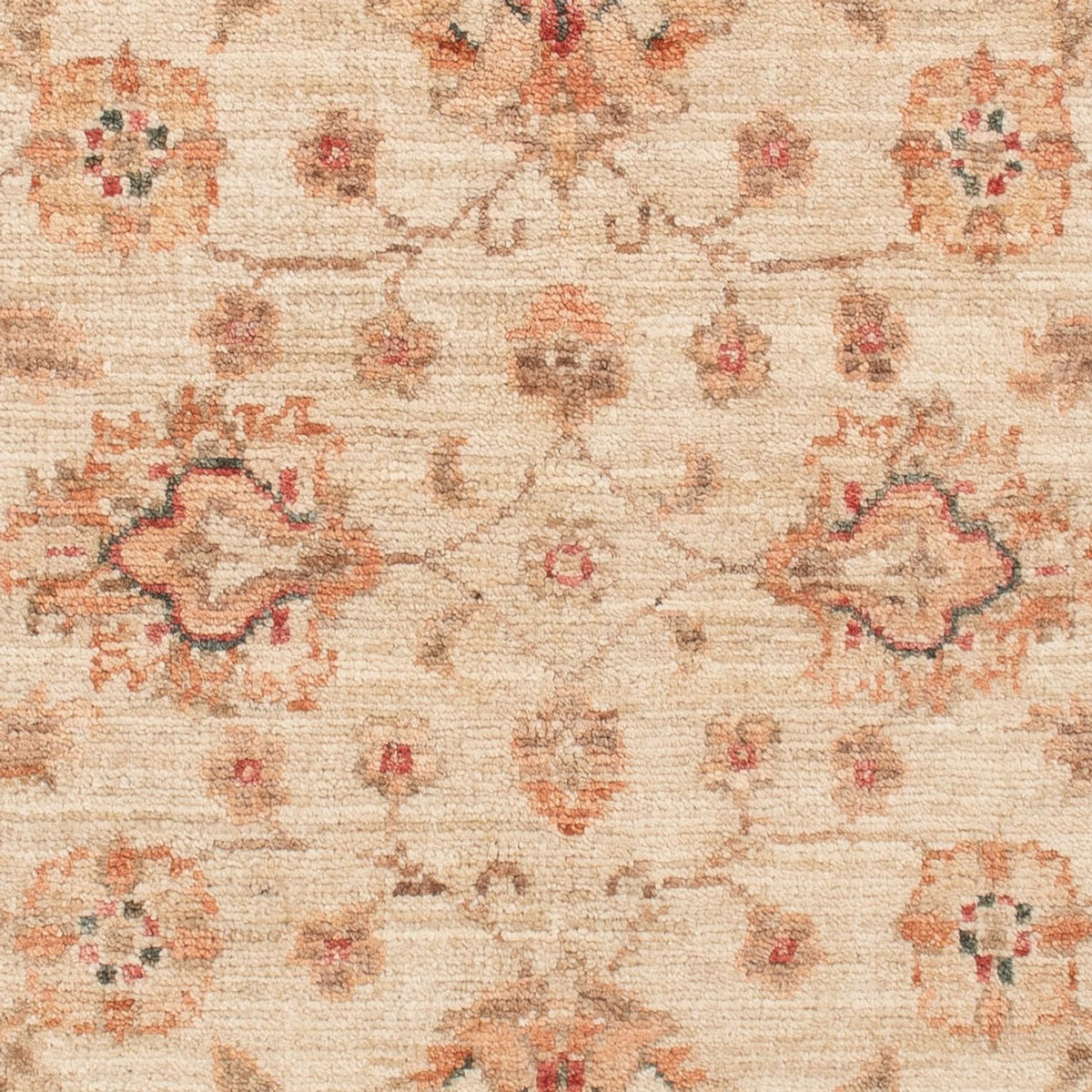 Ziegler Rug - 120 x 83 cm - beige