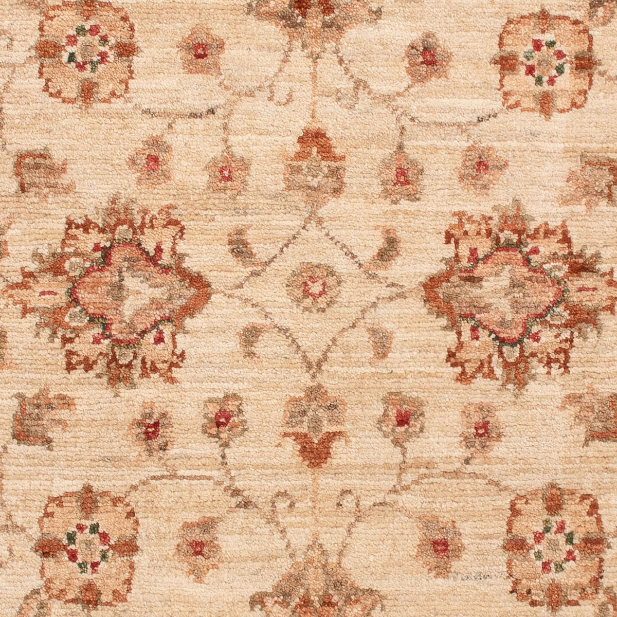 Ziegler Rug - 130 x 81 cm - beige