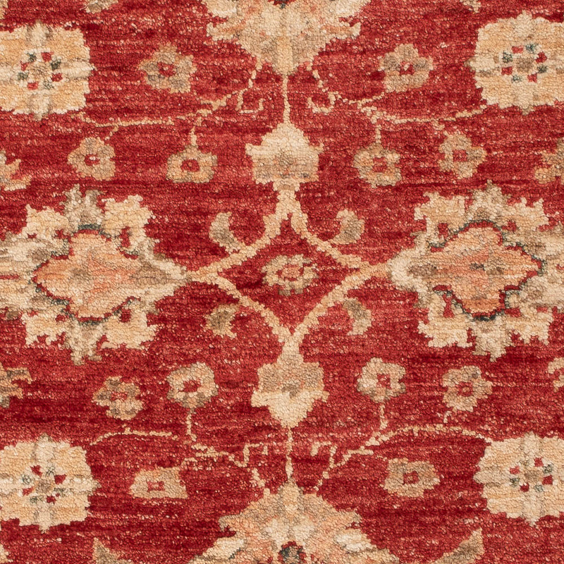 Ziegler Rug - 110 x 82 cm - red