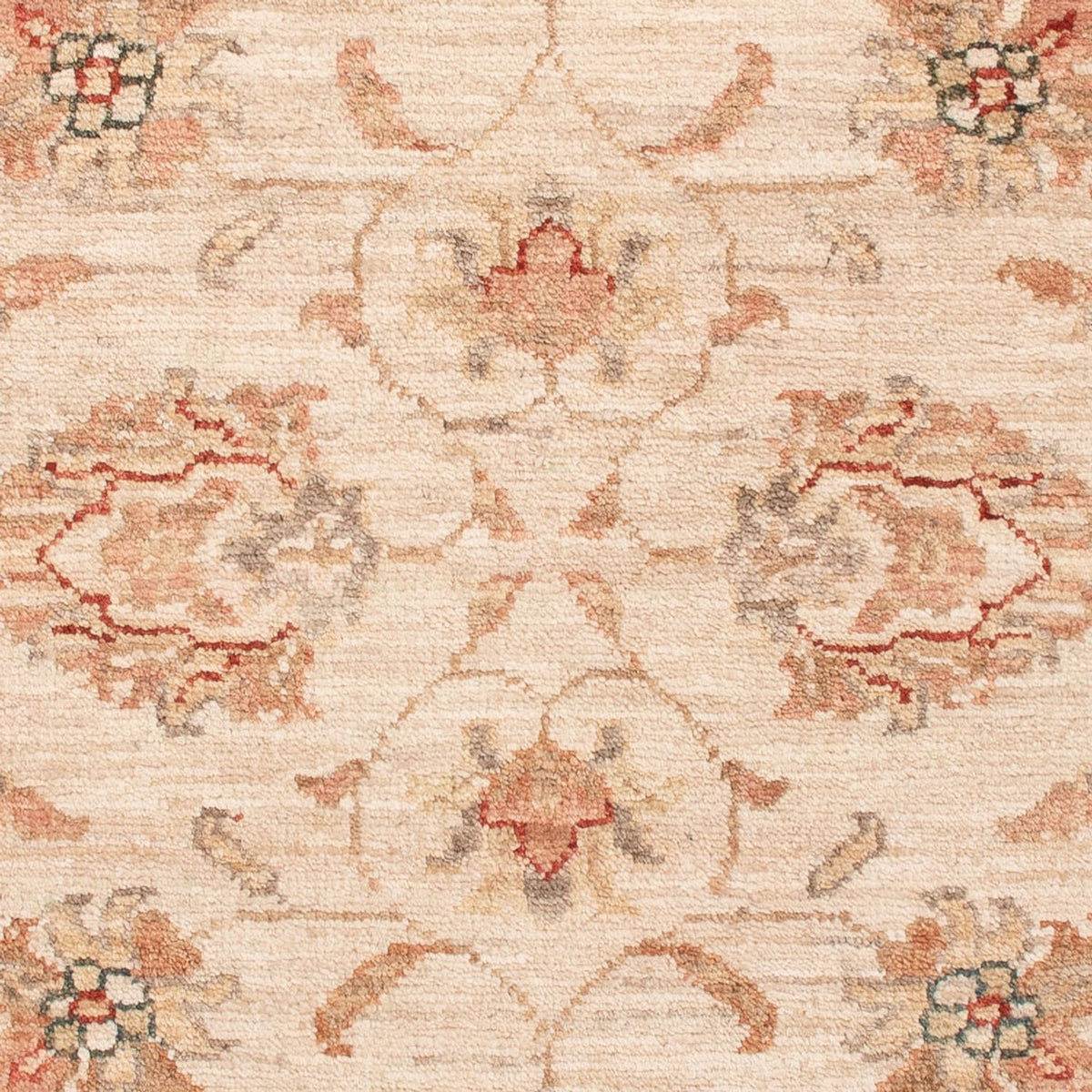 Ziegler Rug - 120 x 82 cm - beige