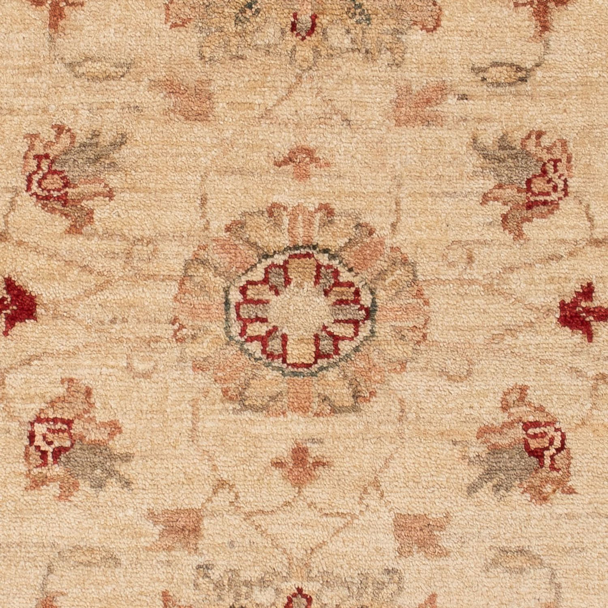 Ziegler Rug - 110 x 95 cm - beige