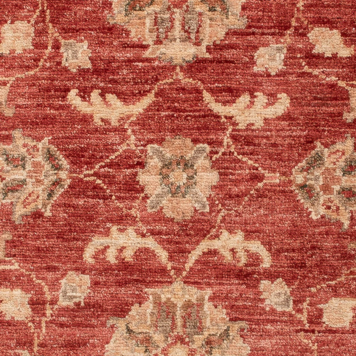 Ziegler Rug - 122 x 84 cm - red