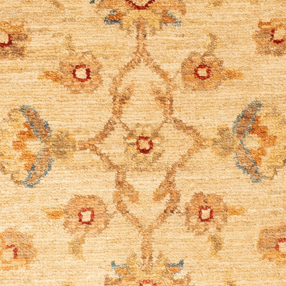 Ziegler Rug - 88 x 61 cm - beige
