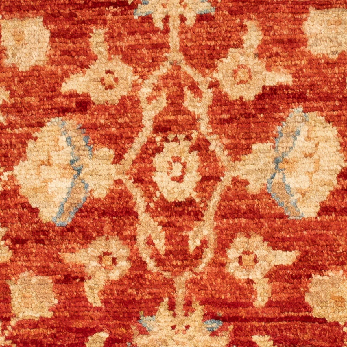 Ziegler Rug - 90 x 59 cm - red