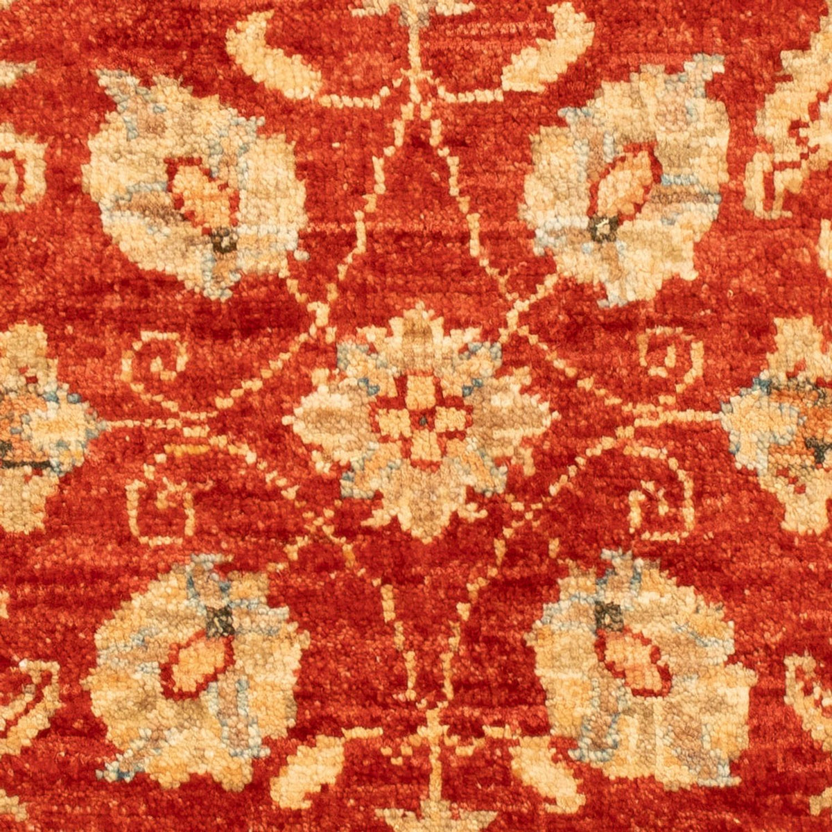 Ziegler Rug - 87 x 61 cm - red